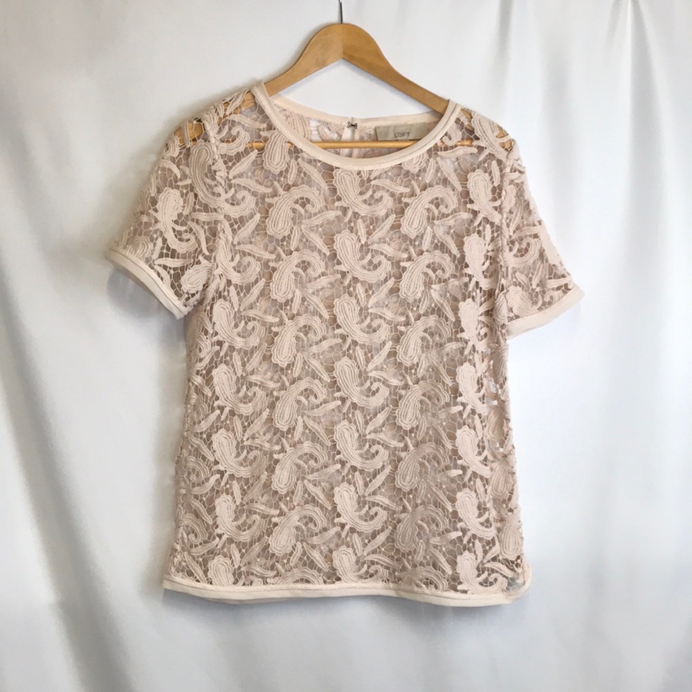 A shirt sleeve Ann Taylor lace shirt